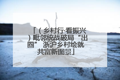 （乡村行·看振兴）毗邻统战破局“出圈” 浙沪乡村绘就共富新图景