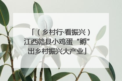 （乡村行·看振兴）江西赣县小鸡蛋“孵”出乡村振兴大产业