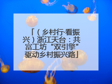 （乡村行·看振兴）浙江天台：共富工坊“双引擎”驱动乡村振兴路