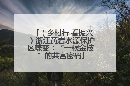(乡村行·看振兴)浙江黄岩水源保护区蝶变:“一根金枝”的共富密码