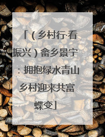 （乡村行·看振兴）畲乡景宁：拥抱绿水青山 乡村迎来共富蝶变