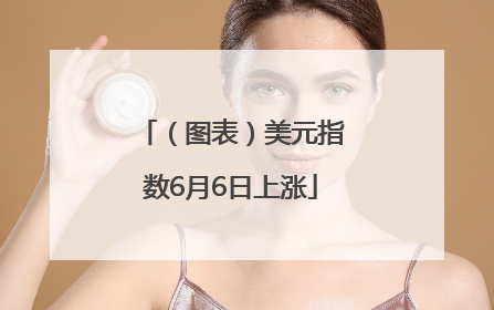 （图表）美元指数6月6日上涨