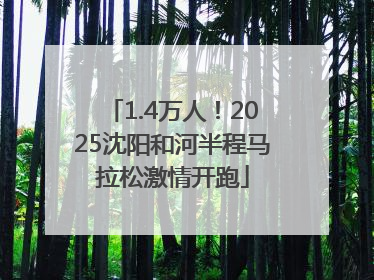 1.4万人！2025沈阳和河半程马拉松激情开跑