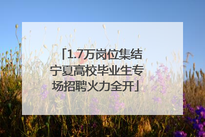1.7万岗位集结 宁夏高校毕业生专场招聘火力全开