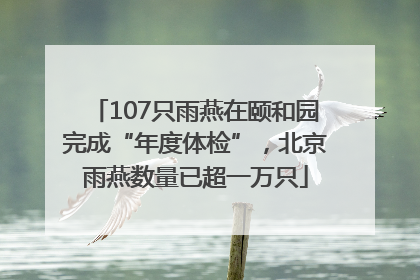 107只雨燕在颐和园完成“年度体检”，北京雨燕数量已超一万只