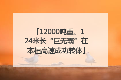 12000吨重、124米长“巨无霸”在本桓高速成功转体