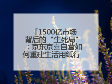 1500亿市场背后的“生死局”：京东京喜自营如何重建生活用纸行业信任？