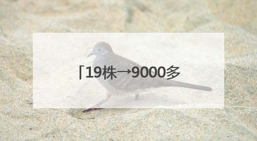 19株→9000多株，天台这一珍稀植物“坐飞的”生长