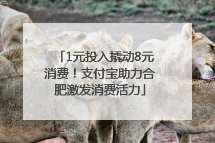 1元投入撬动8元消费！支付宝助力合肥激发消费活力
