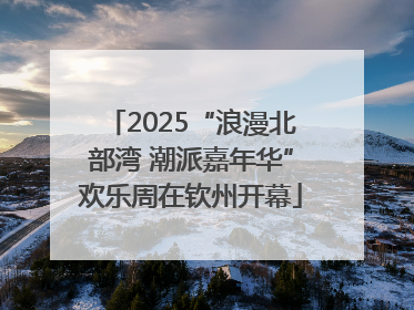 2025“浪漫北部湾 潮派嘉年华”欢乐周在钦州开幕