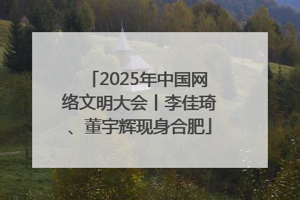 2025年中国网络文明大会丨李佳琦、董宇辉现身合肥