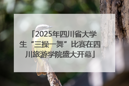2025年四川省大学生“三操一舞”比赛在四川旅游学院盛大开幕