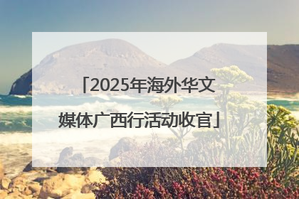 2025年海外华文媒体广西行活动收官