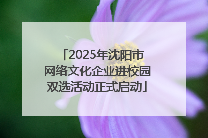 2025年沈阳市网络文化企业进校园双选活动正式启动