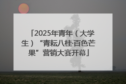 2025年青年（大学生）“青耘八桂·百色芒果”营销大赛开幕