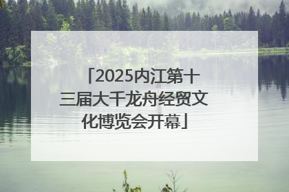 2025内江第十三届大千龙舟经贸文化博览会开幕