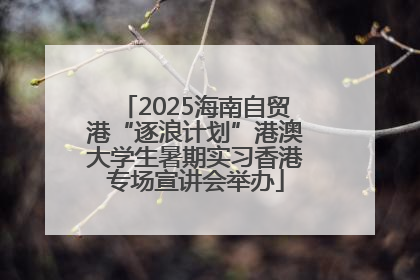 2025海南自贸港“逐浪计划”港澳大学生暑期实习香港专场宣讲会举办