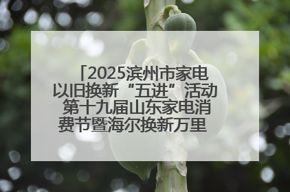 2025滨州市家电以旧换新“五进”活动 第十九届山东家电消费节暨海尔换新万里 行山东站全面启动