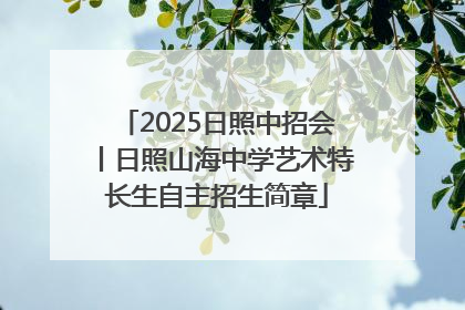 2025日照中招会丨日照山海中学艺术特长生自主招生简章