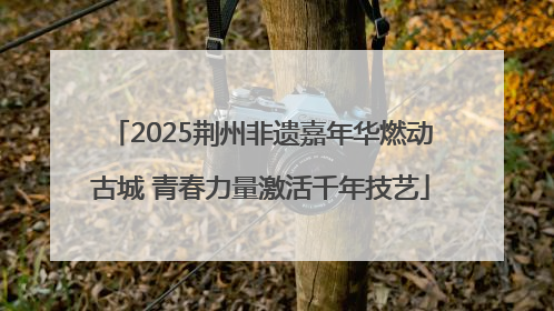 2025荆州非遗嘉年华燃动古城 青春力量激活千年技艺