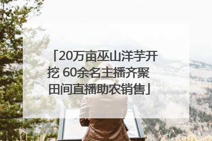 20万亩巫山洋芋开挖 60余名主播齐聚田间直播助农销售