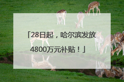 28日起，哈尔滨发放4800万元补贴！
