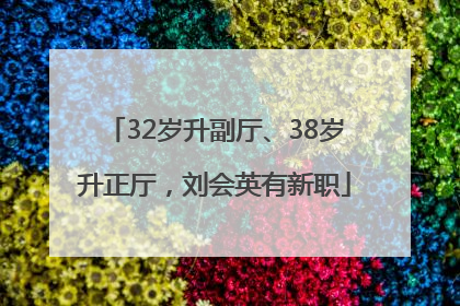 32岁升副厅、38岁升正厅，刘会英有新职