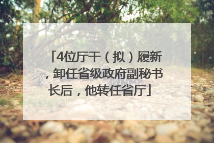 4位厅干（拟）履新，卸任省级政府副秘书长后，他转任省厅