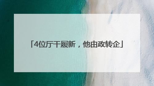 4位厅干履新，他由政转企