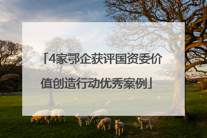 4家鄂企获评国资委价值创造行动优秀案例