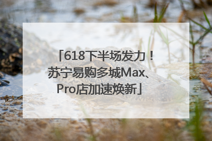 618下半场发力！苏宁易购多城Max、Pro店加速焕新