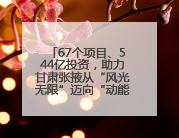 67个项目、544亿投资，助力甘肃张掖从“风光无限”迈向“动能澎湃”
