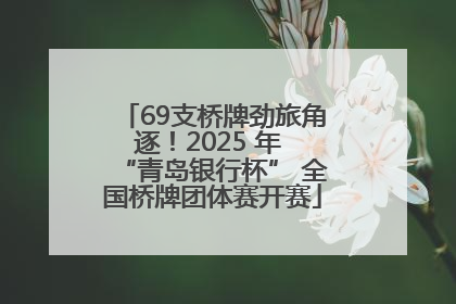 69支桥牌劲旅角逐！2025 年 “青岛银行杯” 全国桥牌团体赛开赛