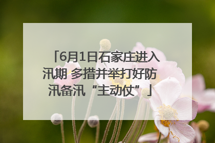 6月1日石家庄进入汛期 多措并举打好防汛备汛“主动仗”