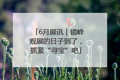 6月展讯｜错峰观展的日子到了，抓紧“寻宝”吧