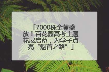 7000株金葵盛放！百花园高考主题花展启幕，为学子点亮“魁首之路”