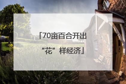 70亩百合开出“花”样经济