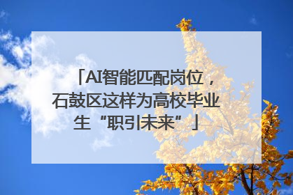 AI智能匹配岗位，石鼓区这样为高校毕业生“职引未来”