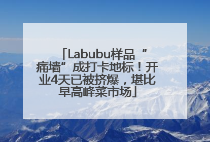Labubu样品“痛墙”成打卡地标！开业4天已被挤爆，堪比早高峰菜市场