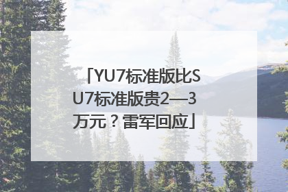 YU7标准版比SU7标准版贵2—3万元？雷军回应