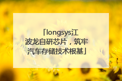 longsys江波龙自研芯片，筑牢汽车存储技术根基
